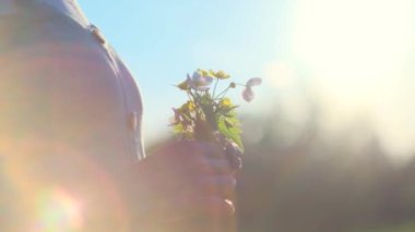 Woman's hands with a small bouquet of wild flowers close-up. Bright sunset sun in the field. Harmonious summer concept