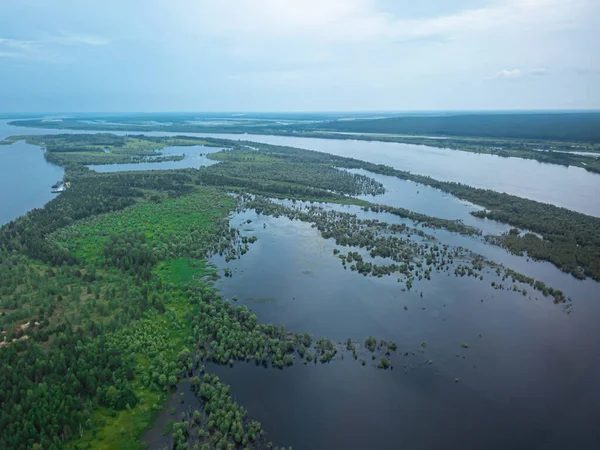 Havadan güzel manzara: Ormanla kaplı nehir ve adalar. Yukarıdan bak. Kopyalama alanı.