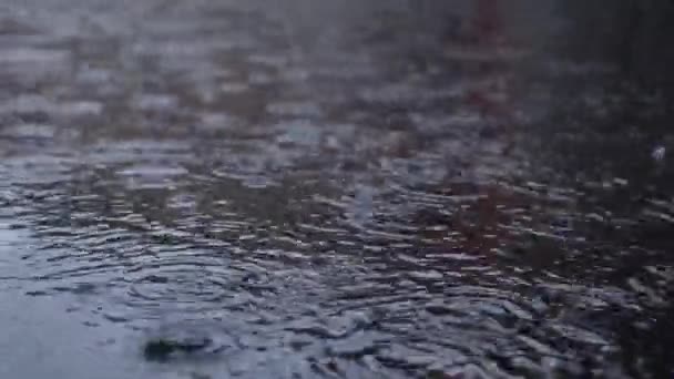 Капли Дождя Капают Лужу Концепция Дождливой Погоды Копировальное Пространство — стоковое видео