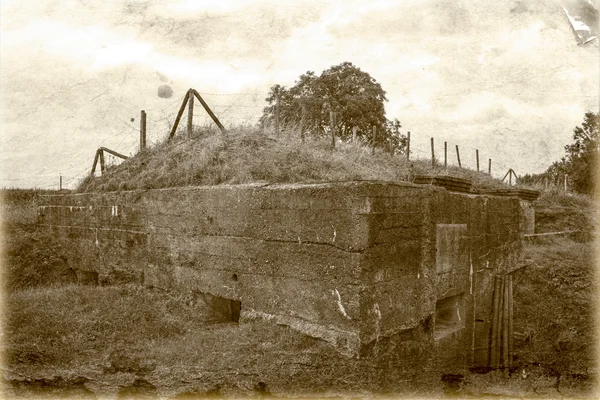 Bunkr hnízdo velké světové války 1 Flandry Belgie — Stock fotografie