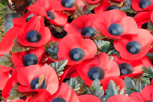 Poppy remembrance anzac day world war 1 — Stock Photo, Image