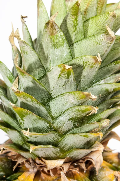 Részlet egy ananász elszigetelt fehér background — Stock Fotó