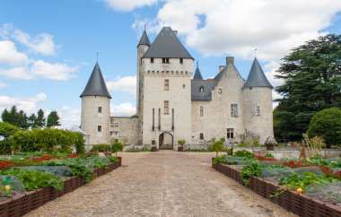 Loire Vadisi Fransa taş castle