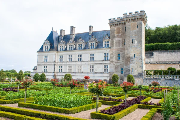 Kasteel tuinen met Buxus en fruit en bloemen — Stockfoto