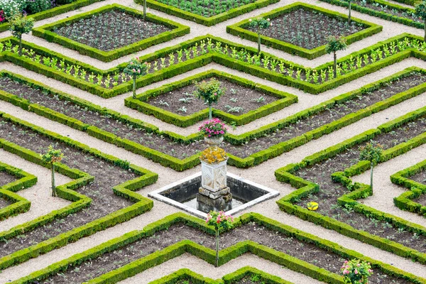 Slottet trädgårdar med buxbom och grönsaker och blommor Royaltyfria Stockbilder
