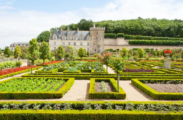 Slottet trädgårdar med buxbom och grönsaker och blommor — Stockfoto