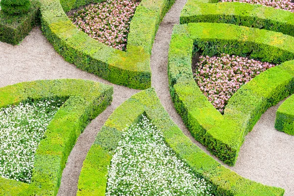 Jardim com muitos tipos diferentes de buxo Imagem De Stock