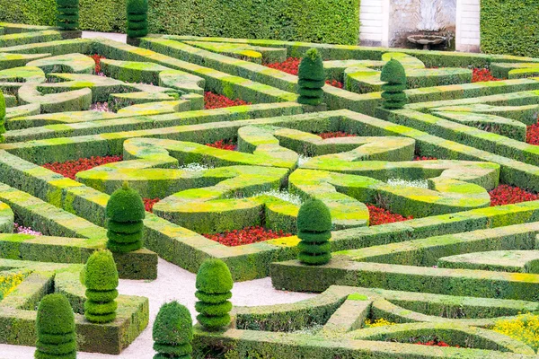 Hermoso jardín de boj verde podado en formas —  Fotos de Stock