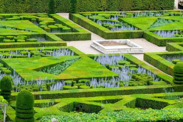 Hermoso jardín de boj verde podado en formas — Foto de Stock