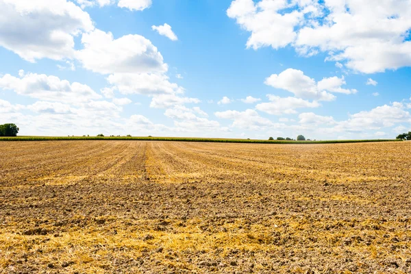 Si affaccia su un campo di grano falciato con nuvole — Foto Stock