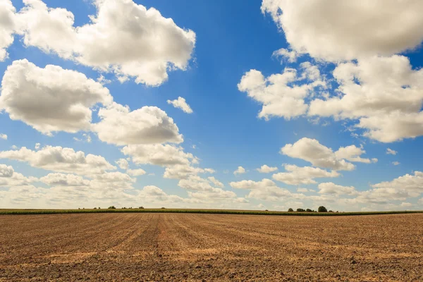 Si affaccia su un campo falciato e cielo con nuvole — Foto Stock