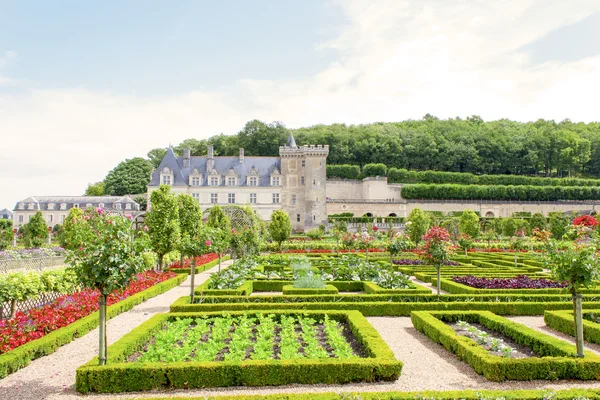 Jardines del Castillo en el Valle del Loira en Francia — Foto de Stock