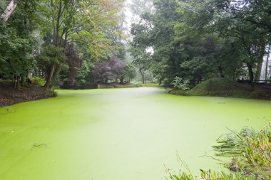 Birinci Dünya Savaşı yeşil su üzerinden krater