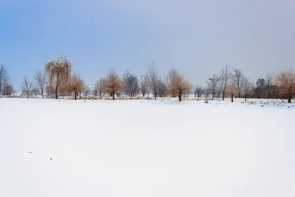 Snowy jezioro z drzewami w tle Pieszczany Słowacja — Zdjęcie stockowe