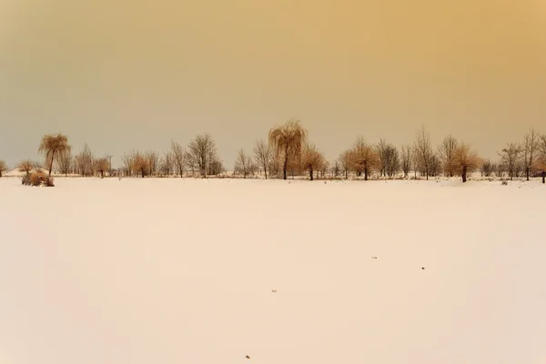 Снежное озеро с деревьями на фоне пиестаны Словакии — стоковое фото