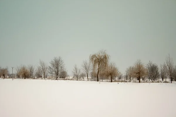 Lago innevato con alberi sullo sfondo piestany slovacca — Foto Stock