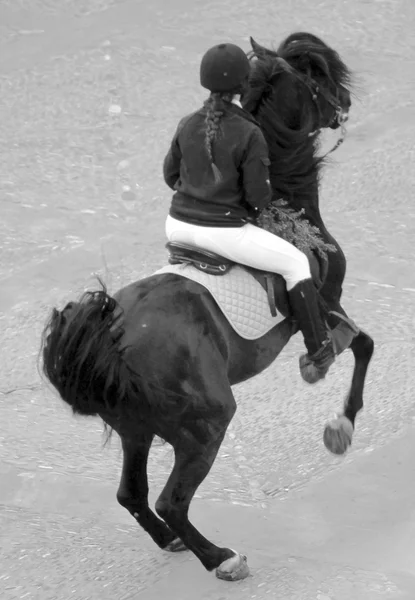 Paardensport tentoonstelling Paardensport tentoonstelling Paardensport tentoonstelling — Stockfoto