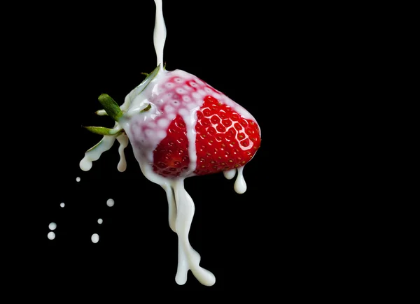 Strawberry Making A Splash. Isolado em fundo preto. Foto macro de um morango em salpicos de leite e gotas . — Fotografia de Stock