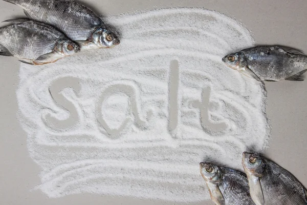 Spilling salt and dried salted fish — Stock Photo, Image