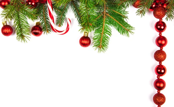 Christmas background . tree branches on a white background — Stock Photo, Image
