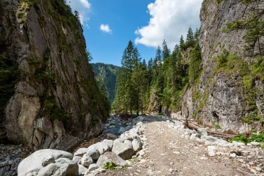 Yüksek Tatras Dağları Yolu