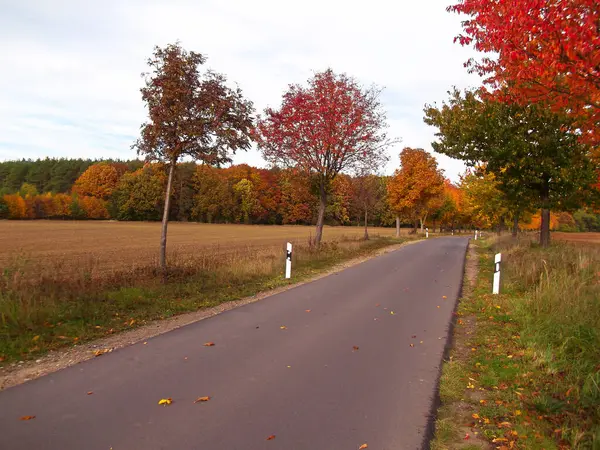 Die Schönen Farben Herbst Der Uckermark — Stockfoto