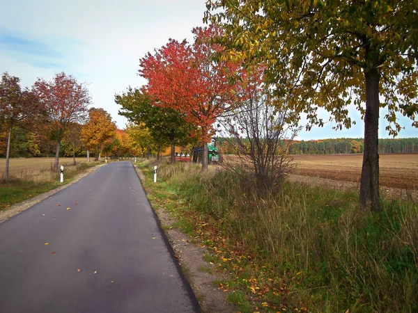 Die Schönen Farben Herbst Der Uckermark — Stockfoto