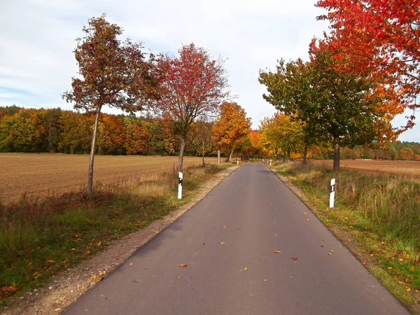 Die Schönen Farben Herbst Der Uckermark — Stockfoto