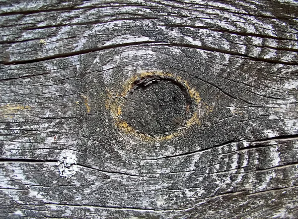 Gałąź Drewnianej Desce — Zdjęcie stockowe