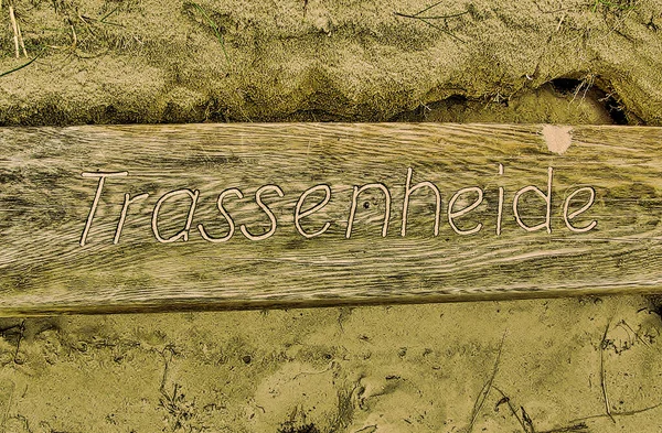 波罗的海海滩上的一条木制长椅 上面刻有Trassenheide字样 — 图库照片