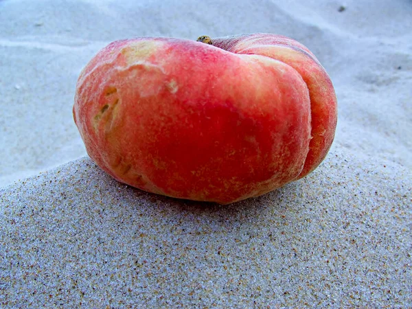 Ροδάκινο Στη Βαλτική Άμμο Στην Ακτή — Φωτογραφία Αρχείου