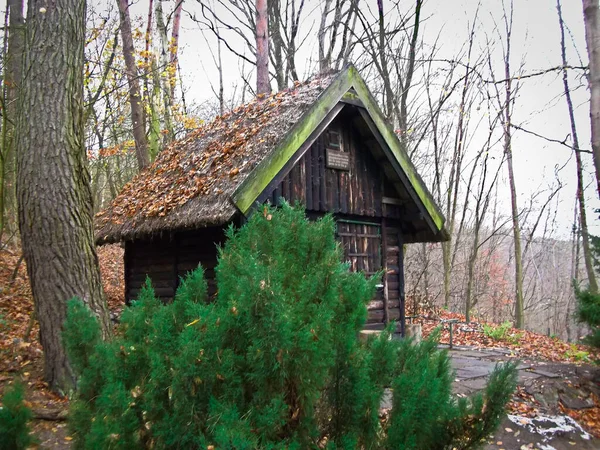 Casa Nel Bosco Vicino Lago Nella Foresta — Foto Stock