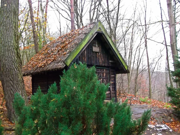 Casa Nel Bosco Vicino Lago Nella Foresta — Foto Stock