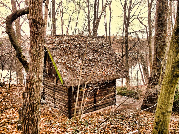Δασικό Σπίτι Δίπλα Στη Λίμνη Στο Δάσος — Φωτογραφία Αρχείου