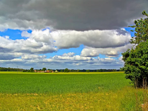 Die Schöne Natur Der Uckermark Herzen Deutschlands — Stockfoto