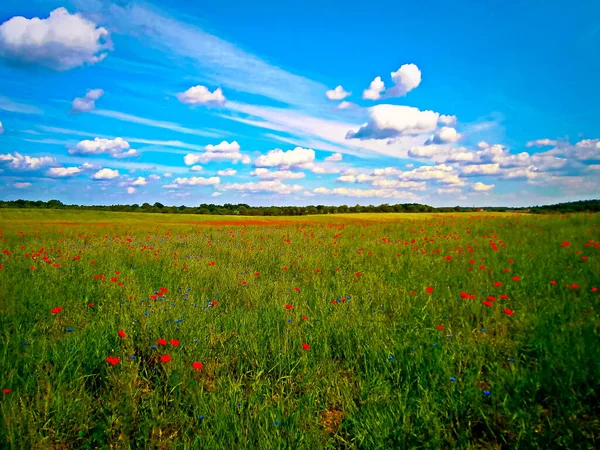 Die Schöne Natur Der Uckermark Herzen Deutschlands — Stockfoto