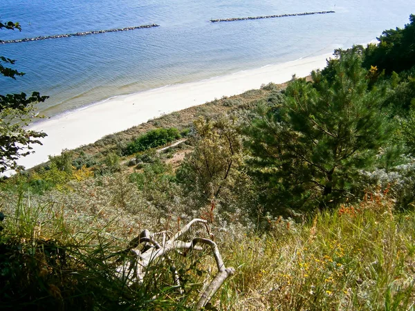 Vista Desde Streckelberg Usedom —  Fotos de Stock