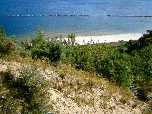 Blick Vom Streckelberg Auf Usedom — Stockfoto