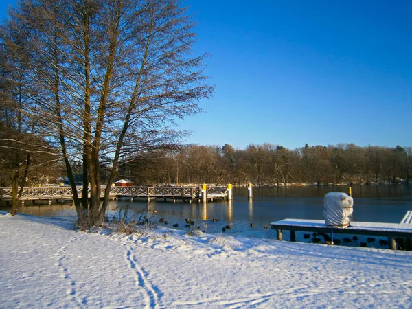 Pontile Inverno Sul Lago Della Città — Foto Stock