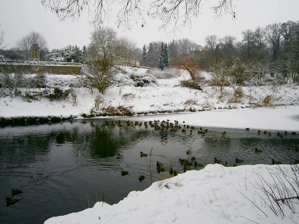 Dreamy Winter Landscape Uckermark — Stock Photo, Image
