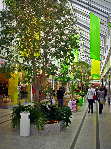 Schwedt Oder Almanya Brandenburg Eyaletinde Uckermark Mart 2013 Oder Center — Stok fotoğraf