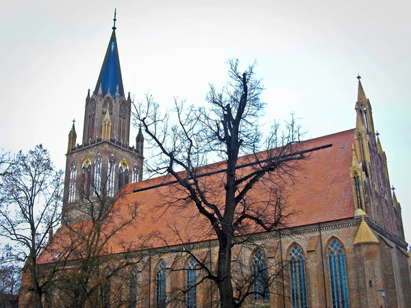 Kościół Mariena Neubrandenburgu Zdjęcie Stockowe