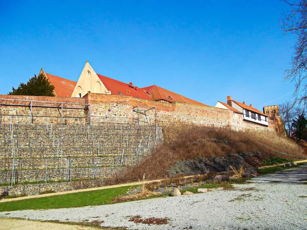 Yüzyıldan Kalma Tarihi Şehir Duvarındaki Üzüm Bağları — Stok fotoğraf