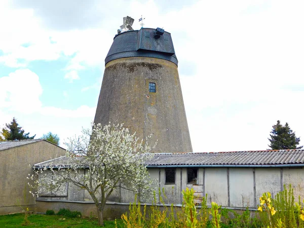 Moinho Holandês Torre Carwitz — Fotografia de Stock