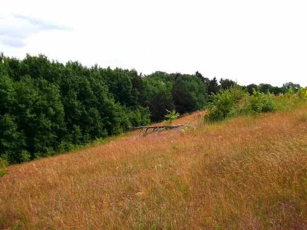 Die Knehdener Alpen Der Uckermark — Stockfoto