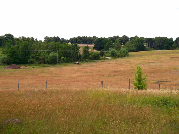 Los Alpes Knehden Uckermark — Foto de Stock