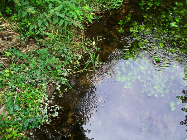 Marien Flyter Boitzenburgerland — Stockfoto