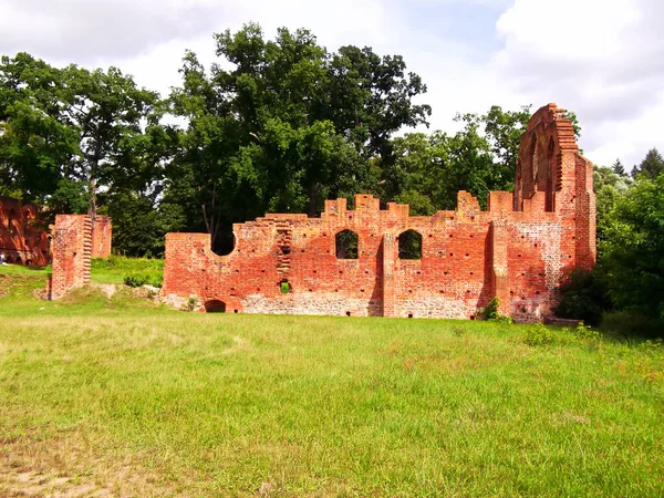 Ruine Monastère Cistercien Dans Jardin Monastère — Photo