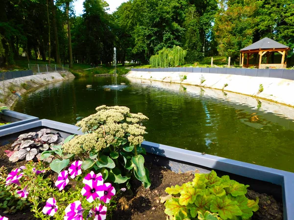 Jardín Ciudadano Con Estanque Fuente — Foto de Stock