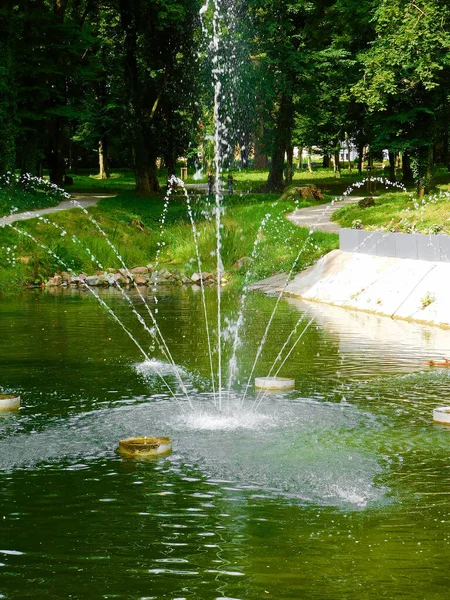 Jardin Citoyen Avec Étang Fontaine — Photo